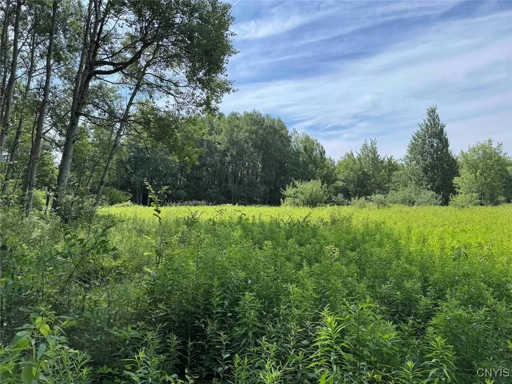 Property at Green Road, Alfred, NY 14802