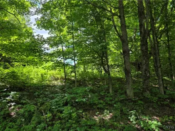 Property at Houseville Gulf Road, Martinsburg, NY 13404