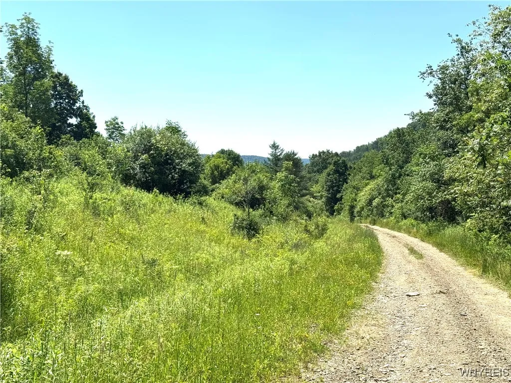 Property at Gile Hollow Road, Hinsdale, NY 14743