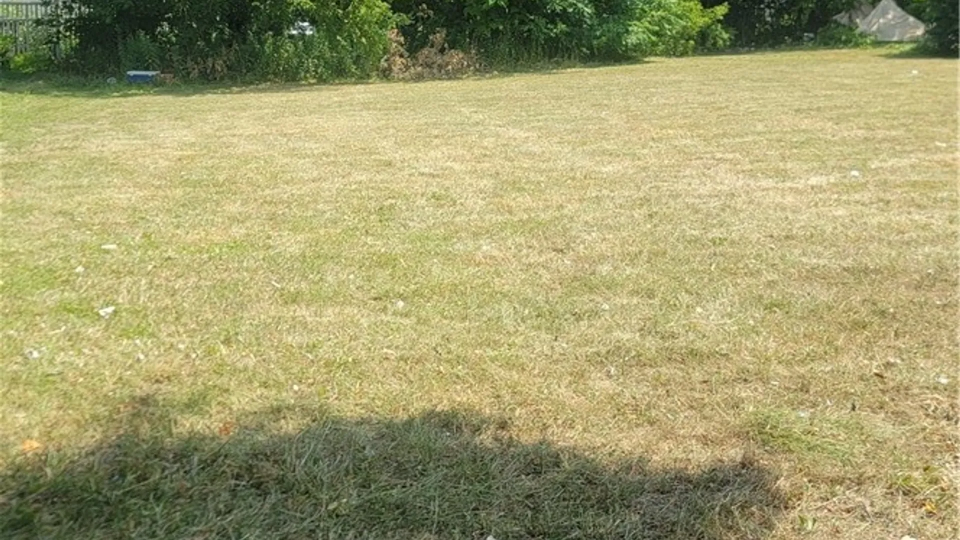 Property at 51-55 Brownell Street, Buffalo, NY 14212 5