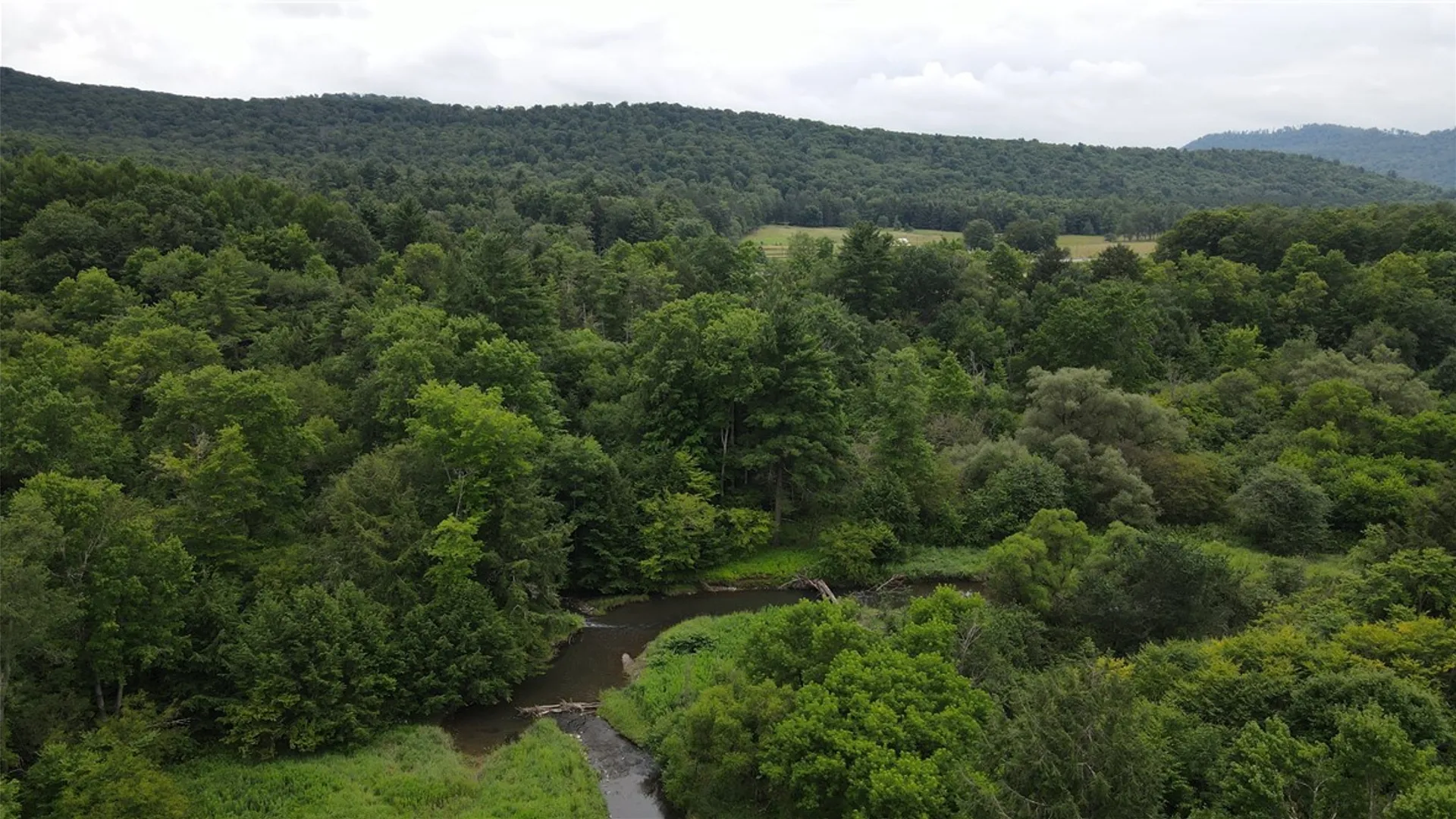 Property at 8722 State Route 417, Genesee, NY 14754 39