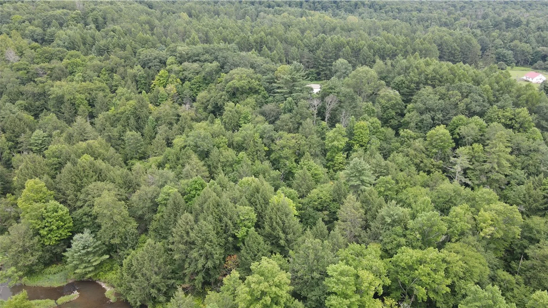 Property at 8722 State Route 417, Genesee, NY 14754 41