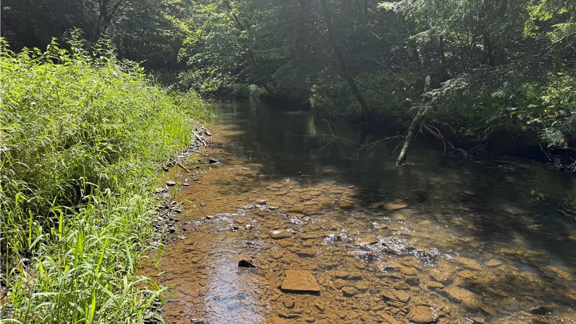 Property at 8722 State Route 417, Genesee, NY 14754 24