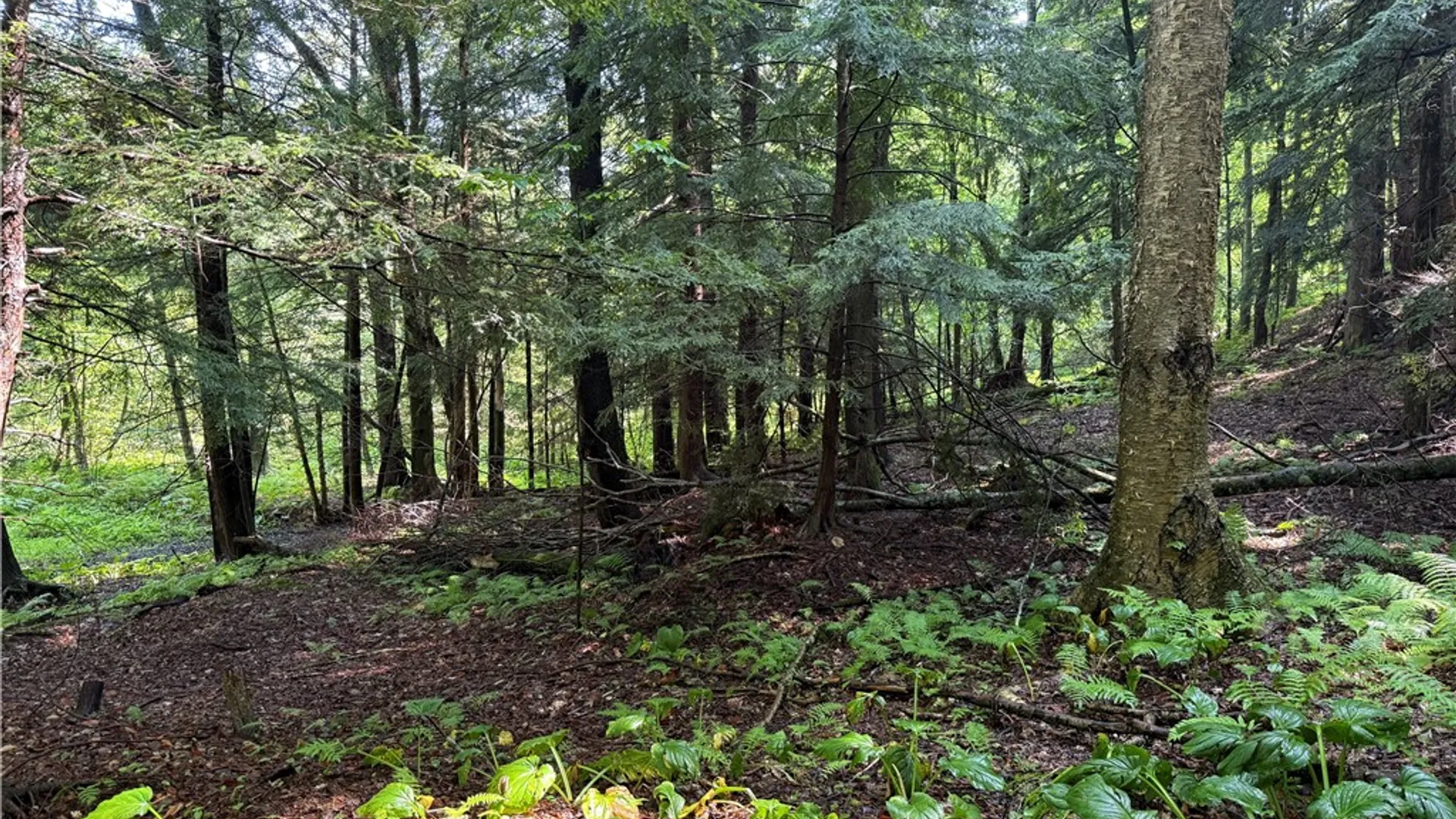 Property at 8722 State Route 417, Genesee, NY 14754 27