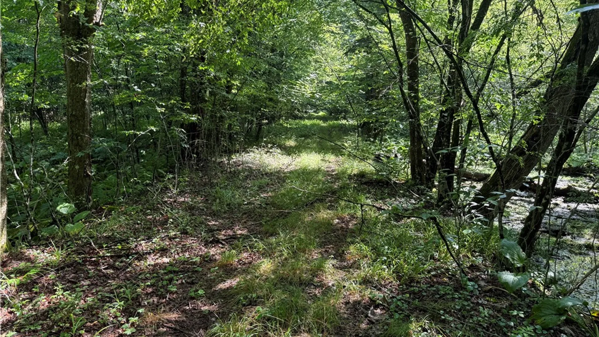 Property at 8722 State Route 417, Genesee, NY 14754 30