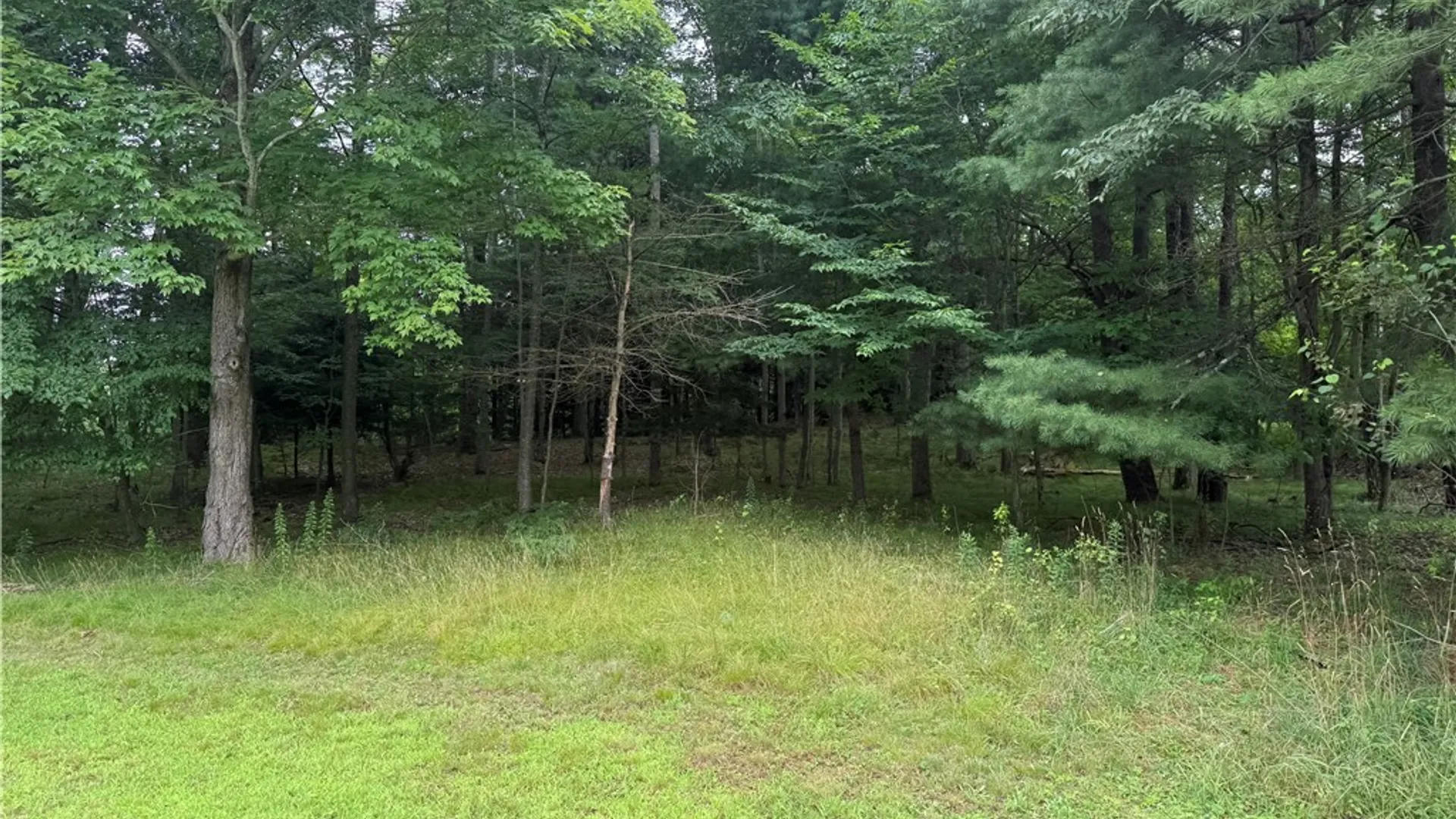 Property at 8722 State Route 417, Genesee, NY 14754 33