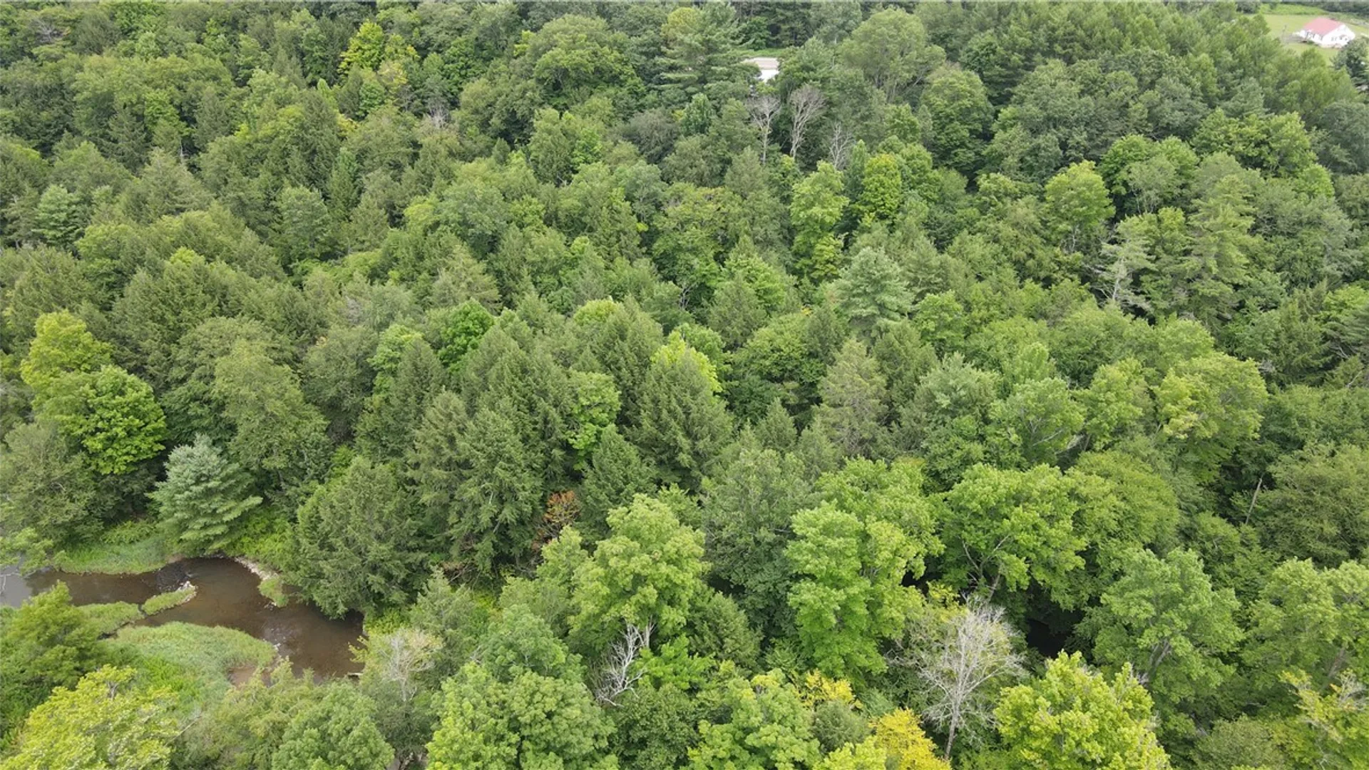 Property at 8722 State Route 417, Genesee, NY 14754 37