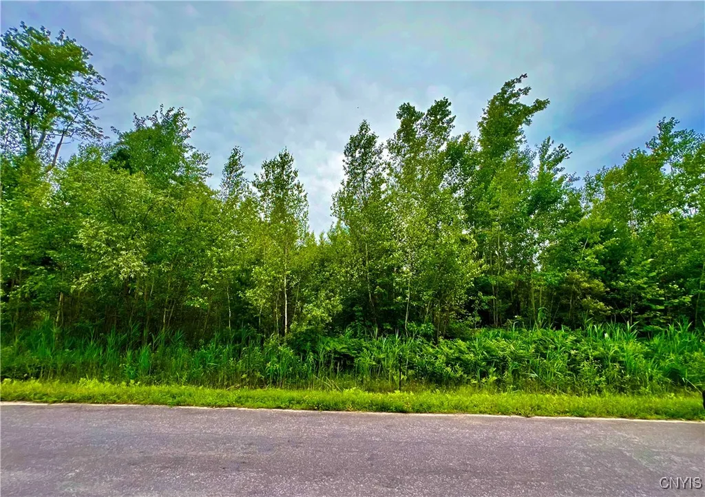 Property at Lot 20 Forest Ridge Drive, Rome, NY 13340