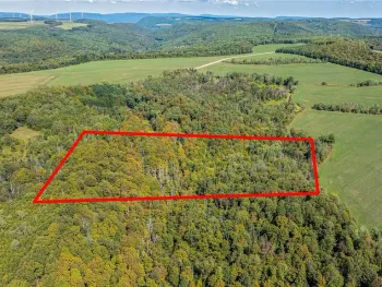 Property at 10373 Lookout, Prattsburgh, NY 14873