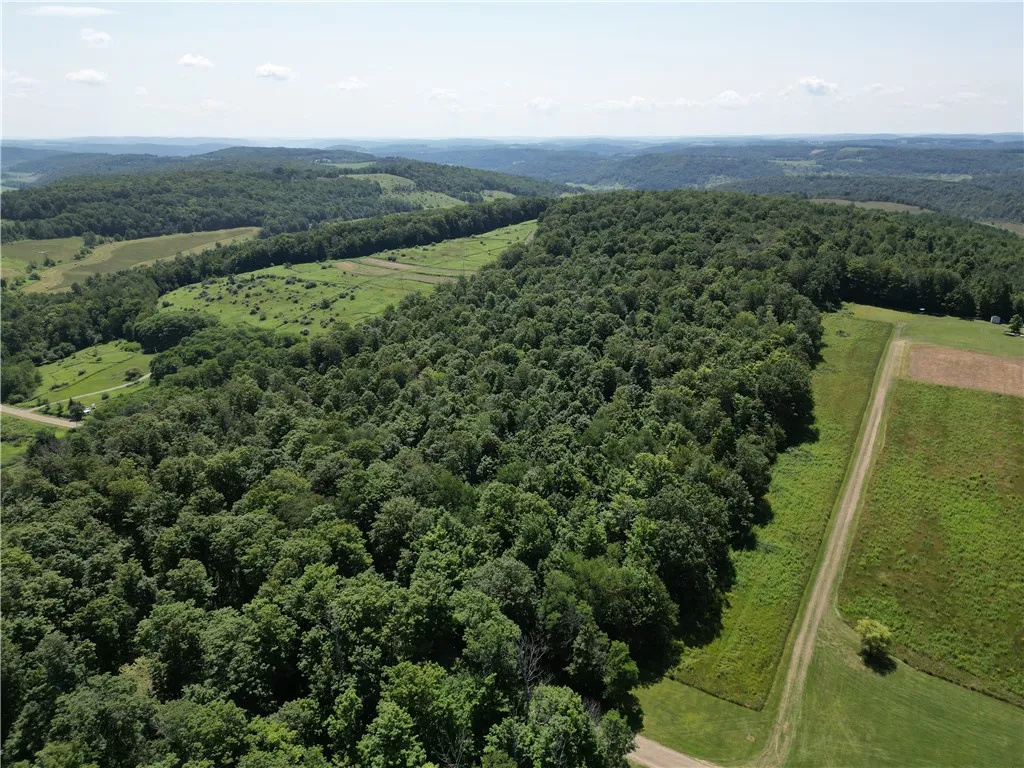 Property at Price School Road, Troupsburg, NY 14885