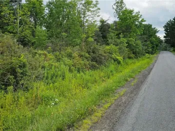 Property at Michigan Hollow Road, Danby, NY 14883