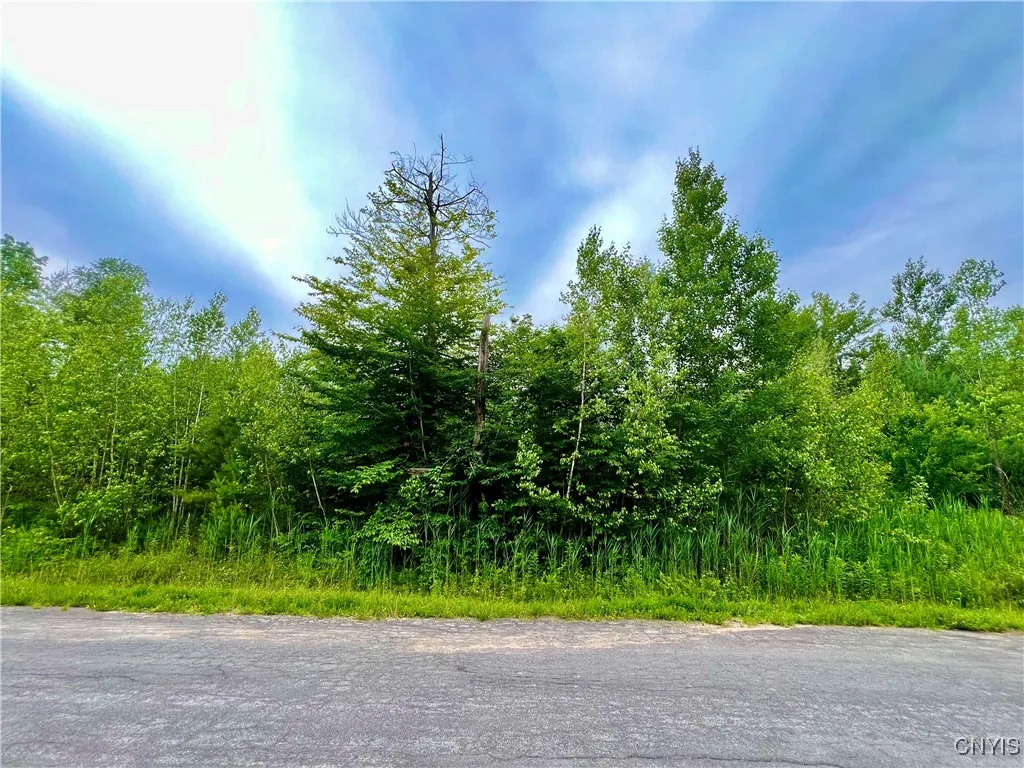 Property at Lot 15 Forest Ridge Drive, Rome, NY 13440