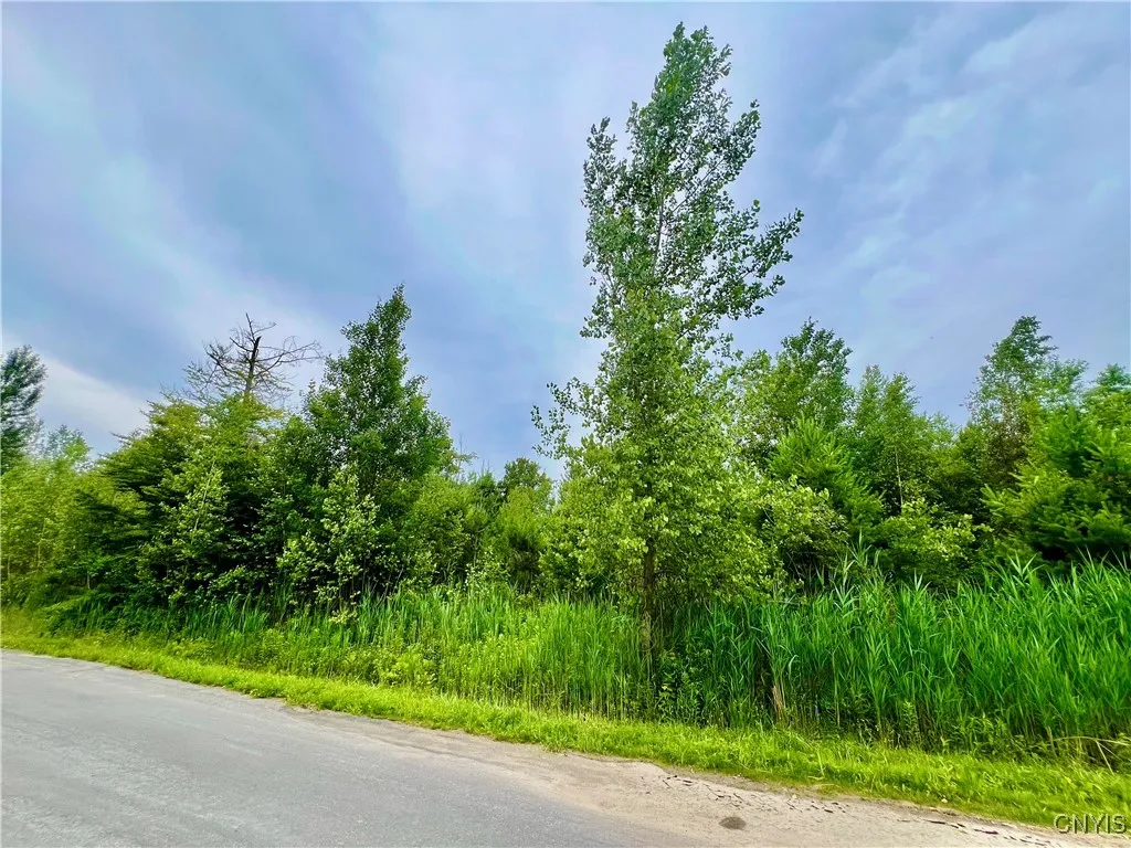 Property at Lot 16 Forest Ridge Drive, Rome, NY 13440