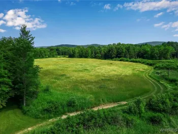 Property at 0 Toad Hollow Road, Mansfield, NY 14755