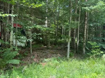 Property at 261 Uncas Road, Inlet, NY 13360