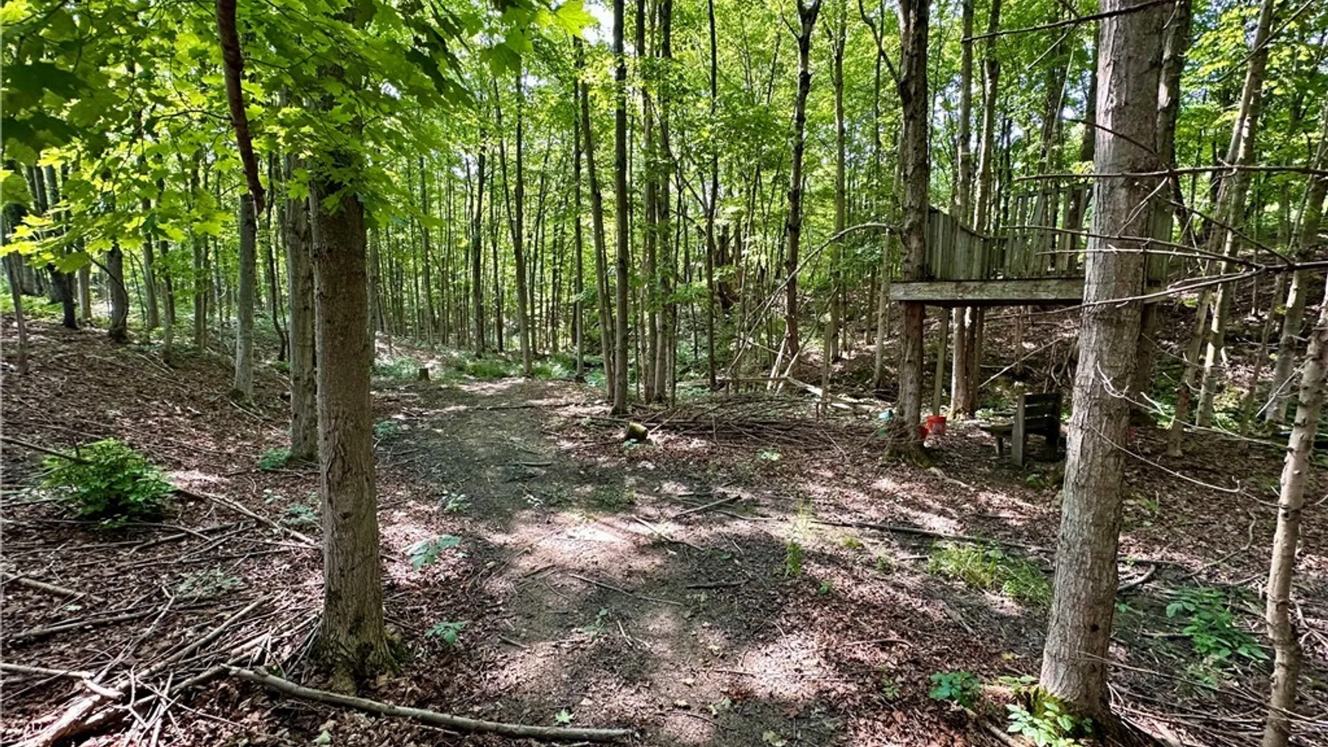 Property at 4101 Hopkins Road, Ellington, NY 14747 5