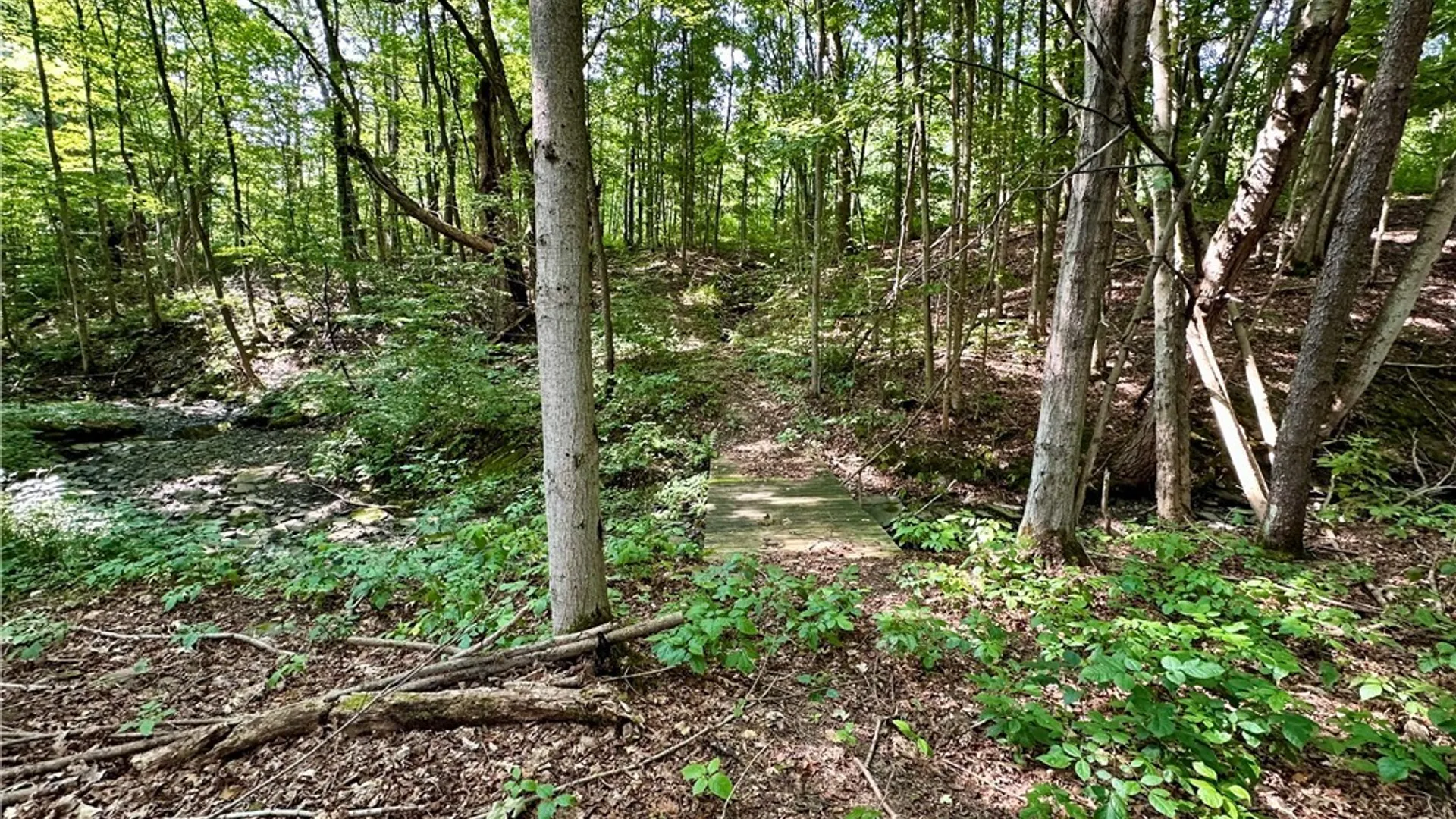 Property at 4101 Hopkins Road, Ellington, NY 14747 6