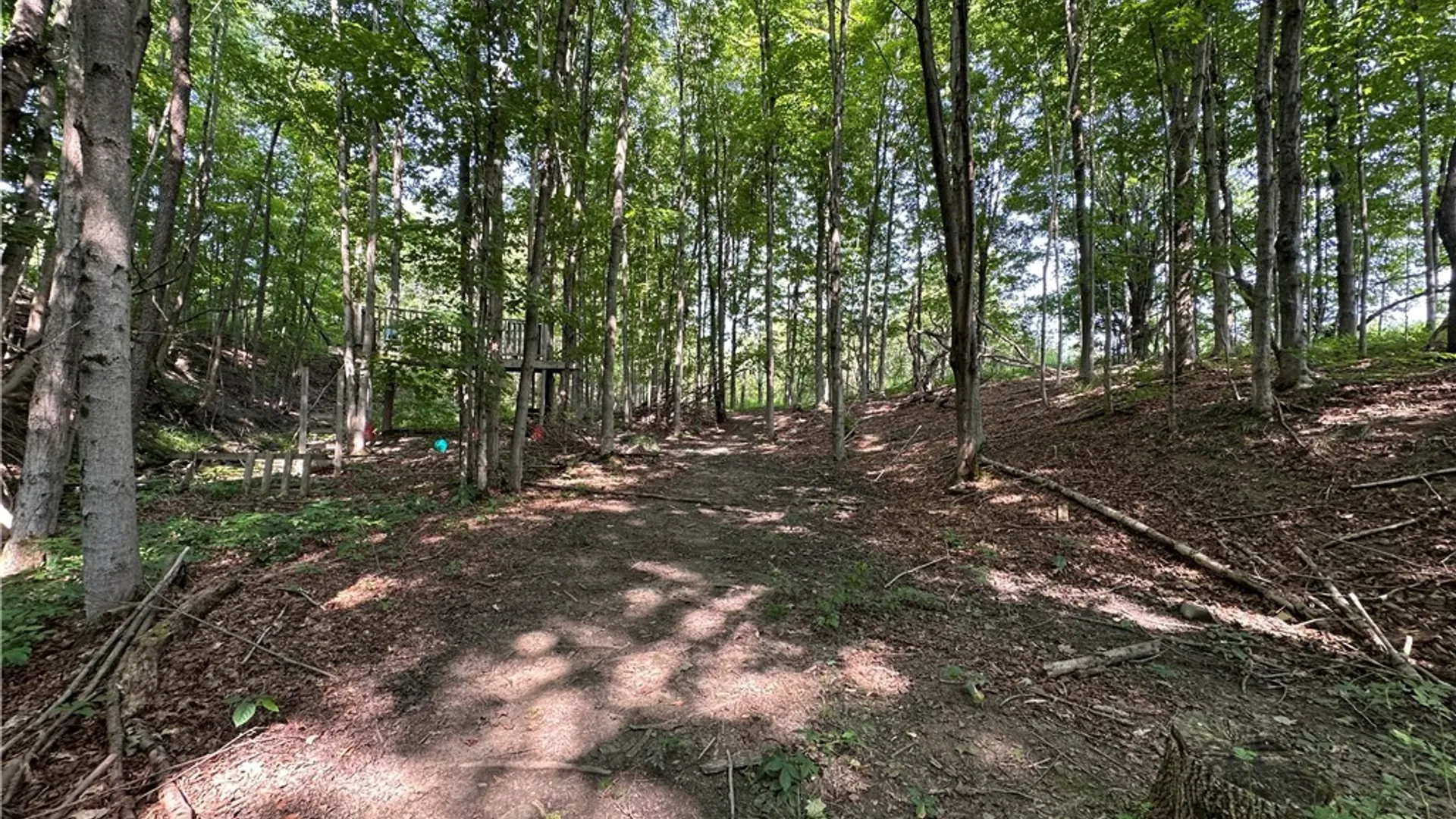 Property at 4101 Hopkins Road, Ellington, NY 14747 7