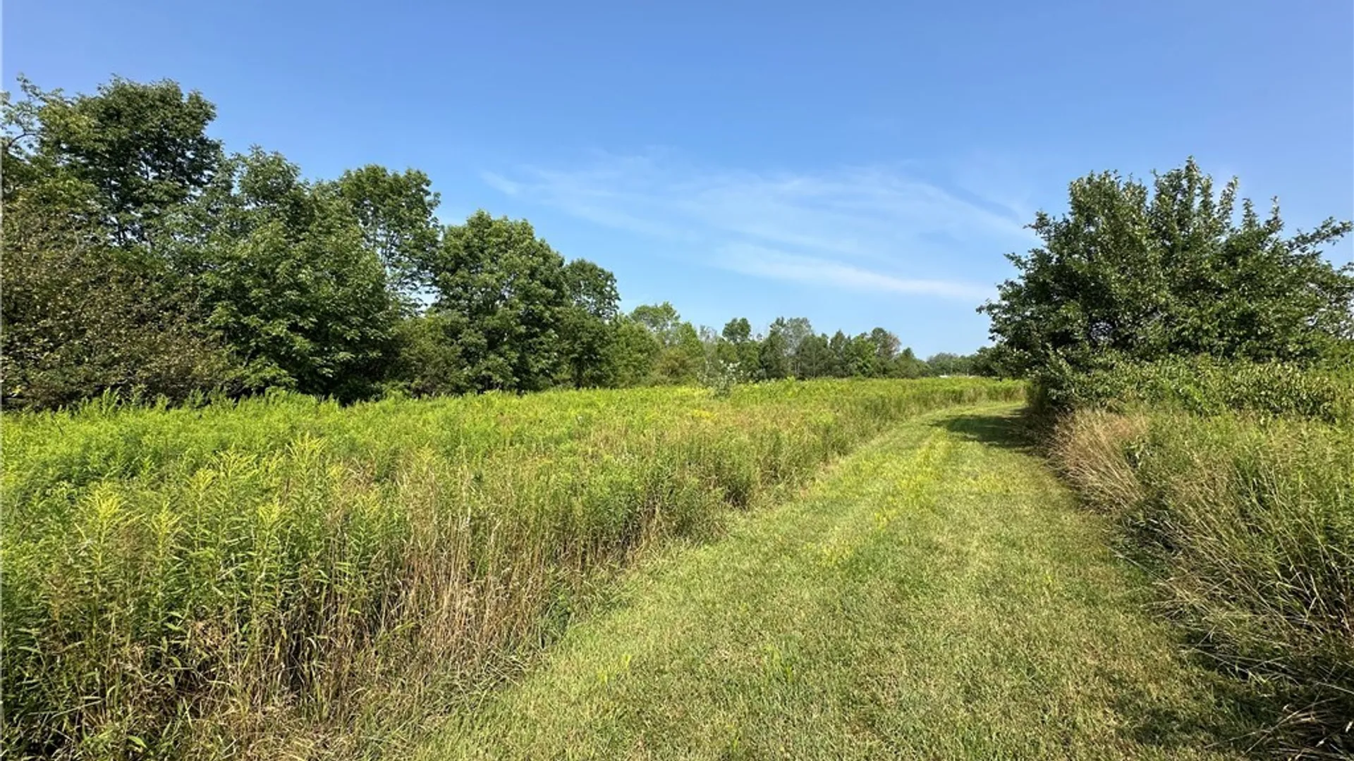 Property at 4101 Hopkins Road, Ellington, NY 14747 8