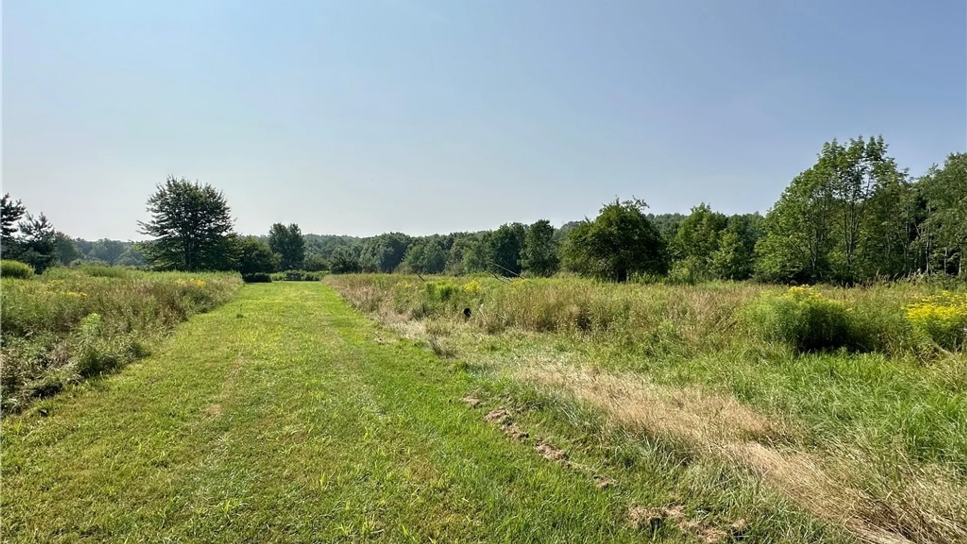 Property at 4101 Hopkins Road, Ellington, NY 14747 11