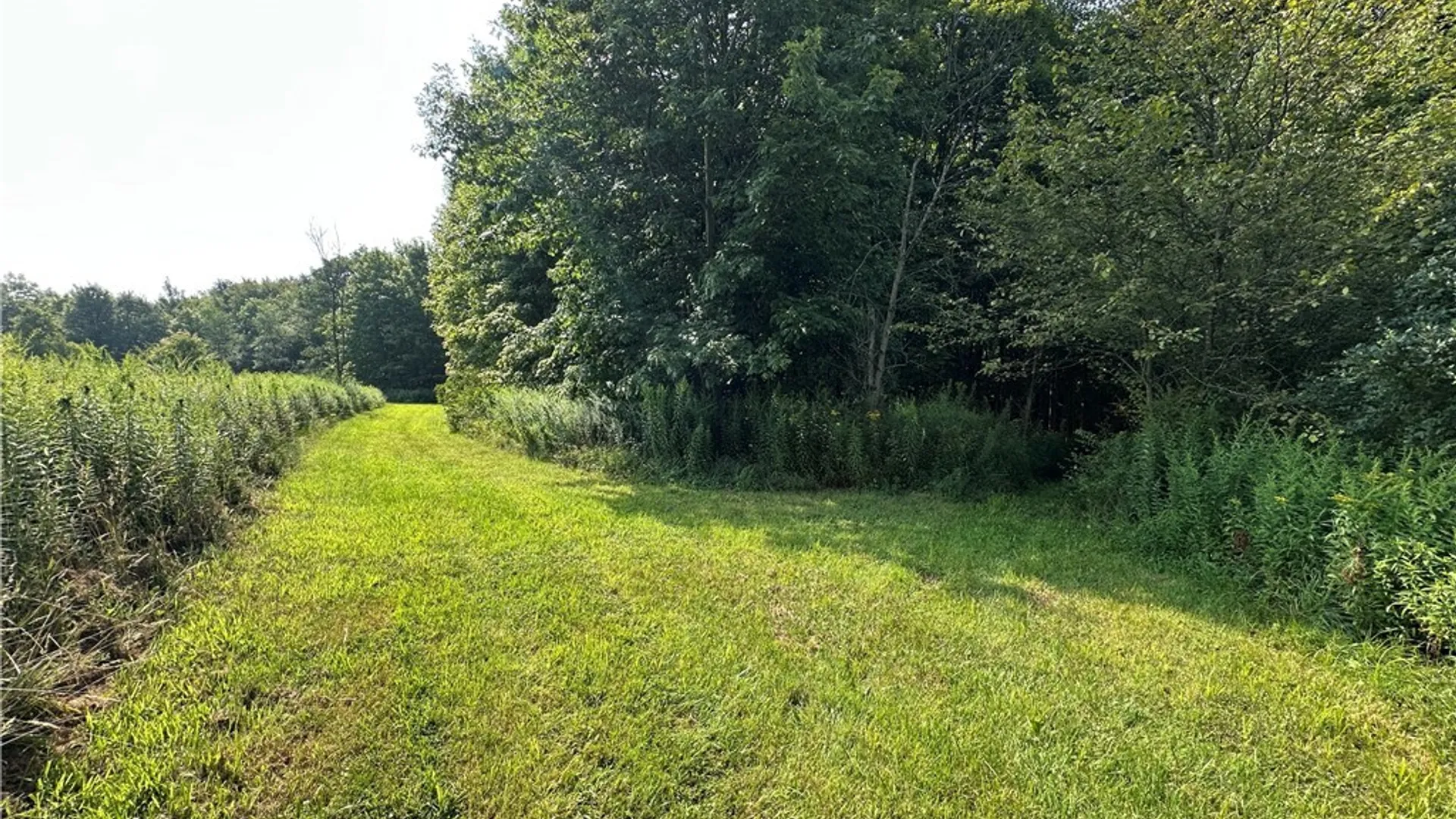 Property at 4101 Hopkins Road, Ellington, NY 14747 13