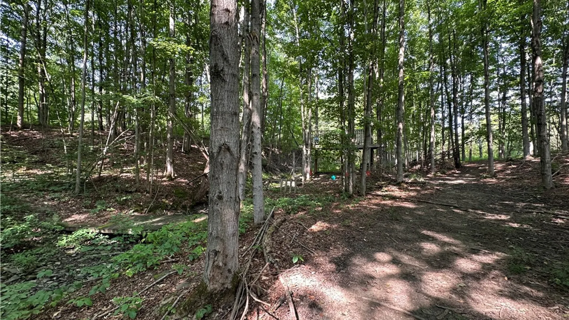Property at 4101 Hopkins Road, Ellington, NY 14747 17