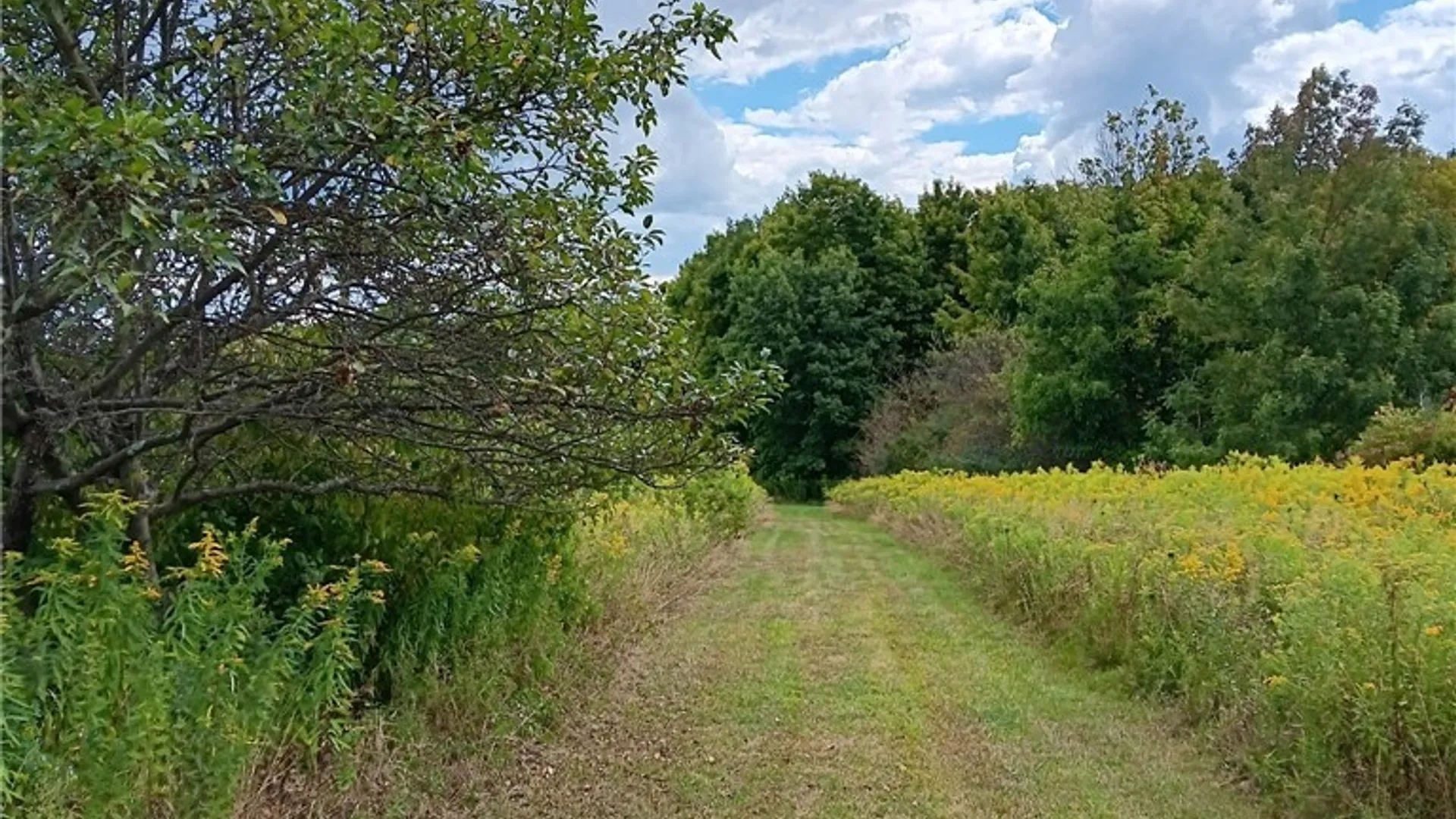 Property at 4101 Hopkins Road, Ellington, NY 14747 20
