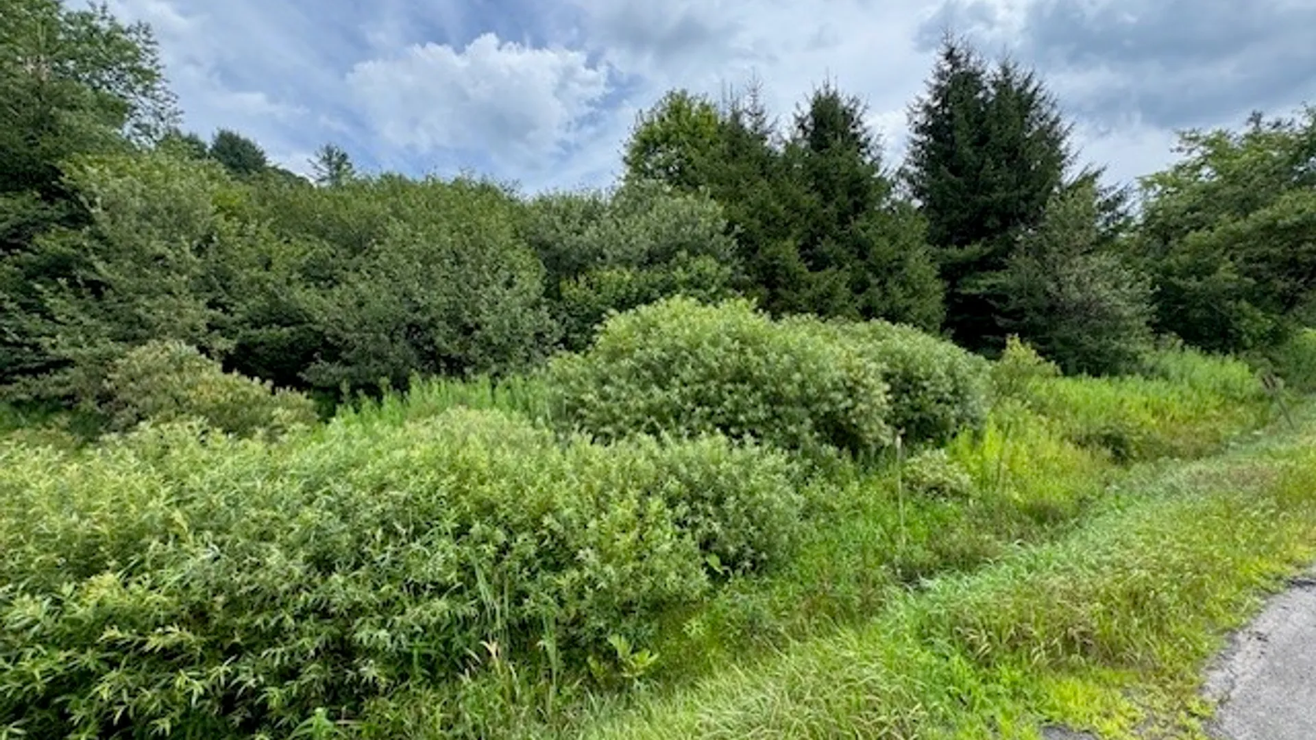 Property at 0000 State Highway 80, Columbus, NY 13460 23
