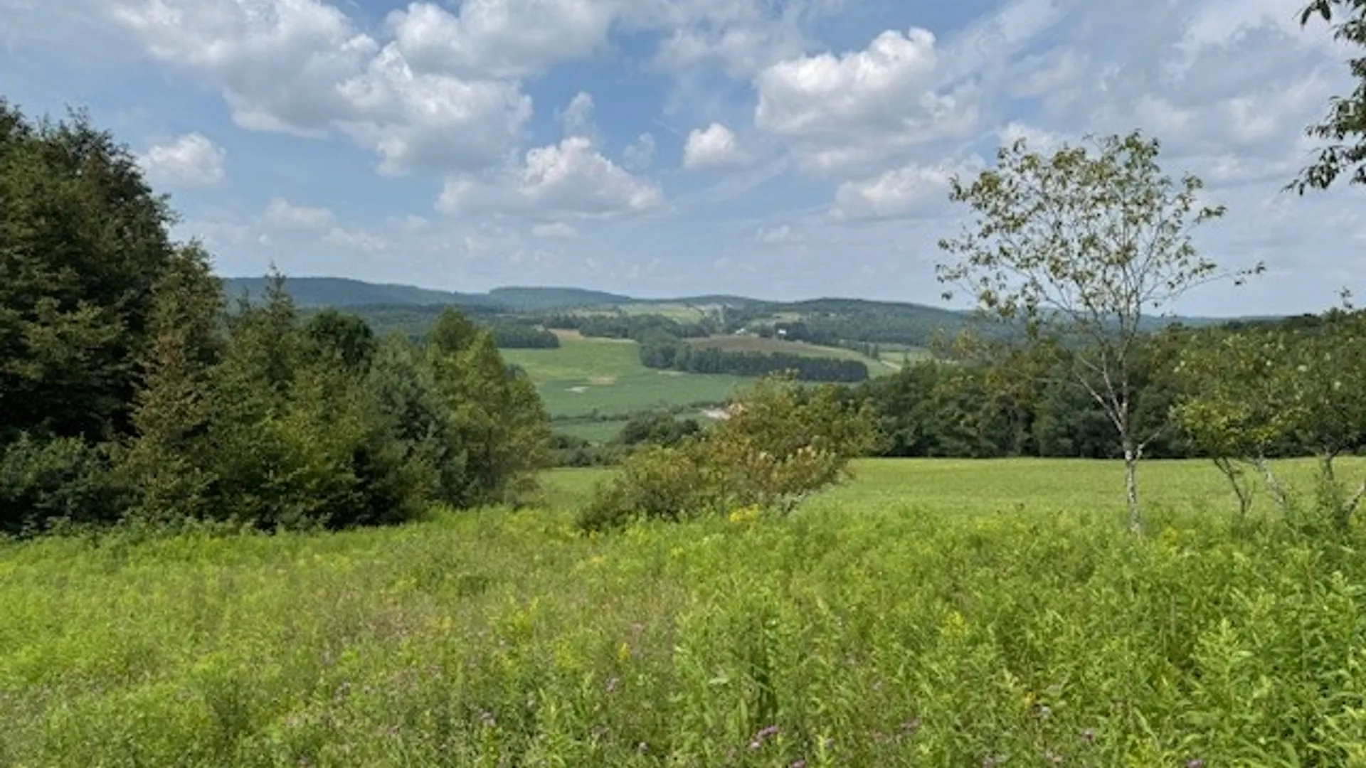 Property at 0000 State Highway 80, Columbus, NY 13460 7