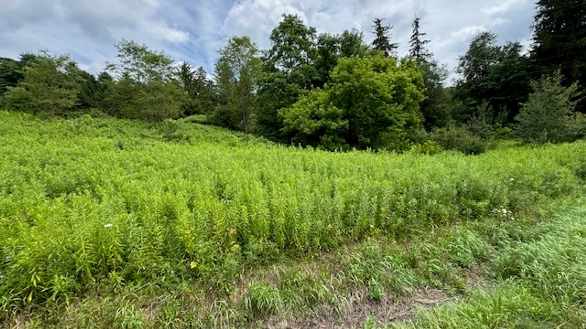 Property at 0000 State Highway 80, Columbus, NY 13460 18