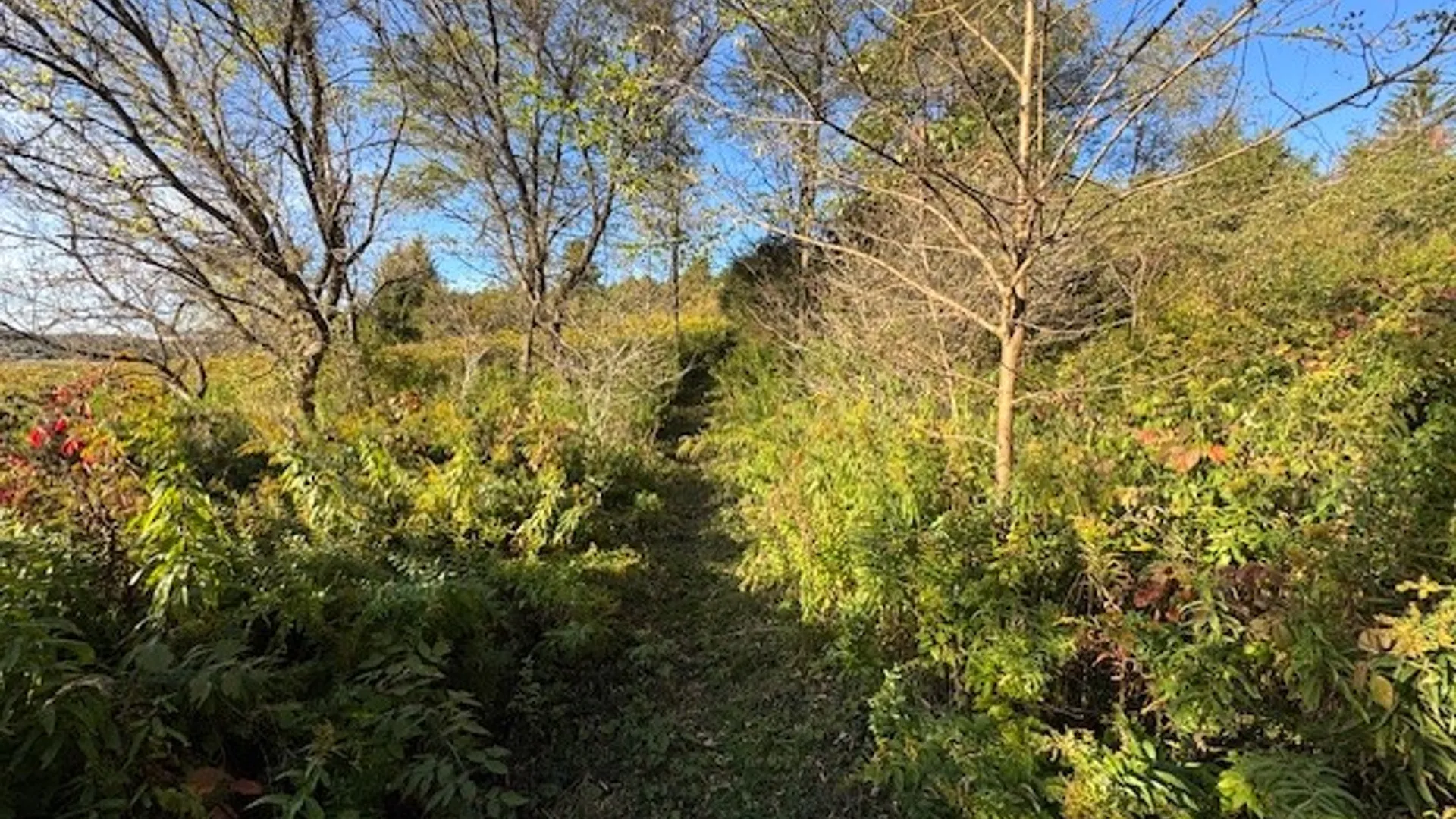 Property at 0000 State Highway 80, Columbus, NY 13460 29