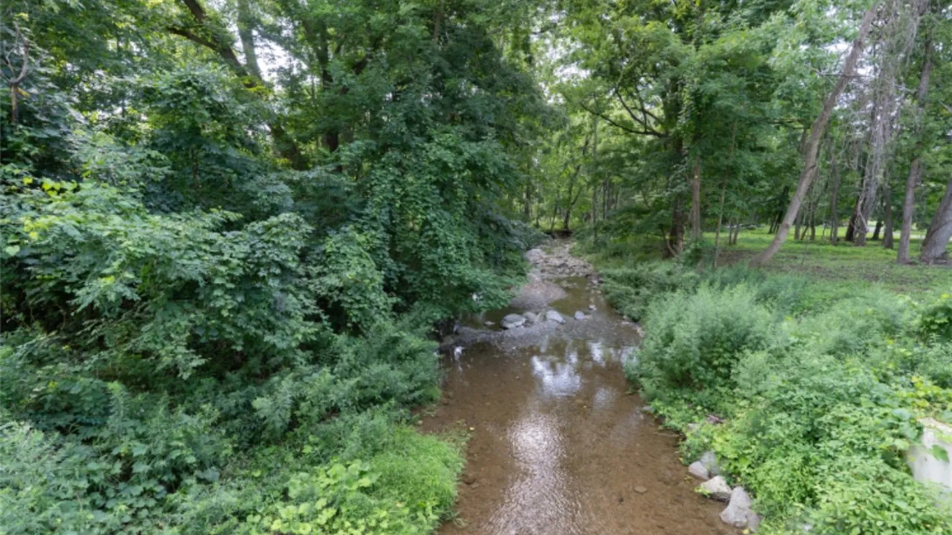 Property at E Lake Road, Conesus, NY 14435 16