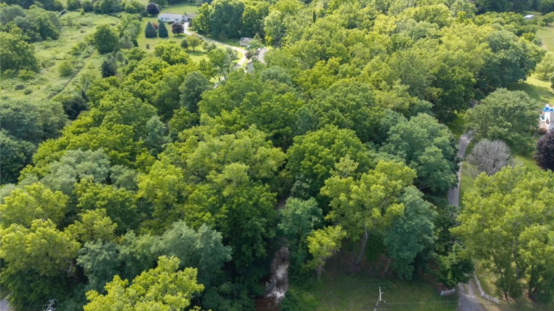 Property at E Lake Road, Conesus, NY 14435 9