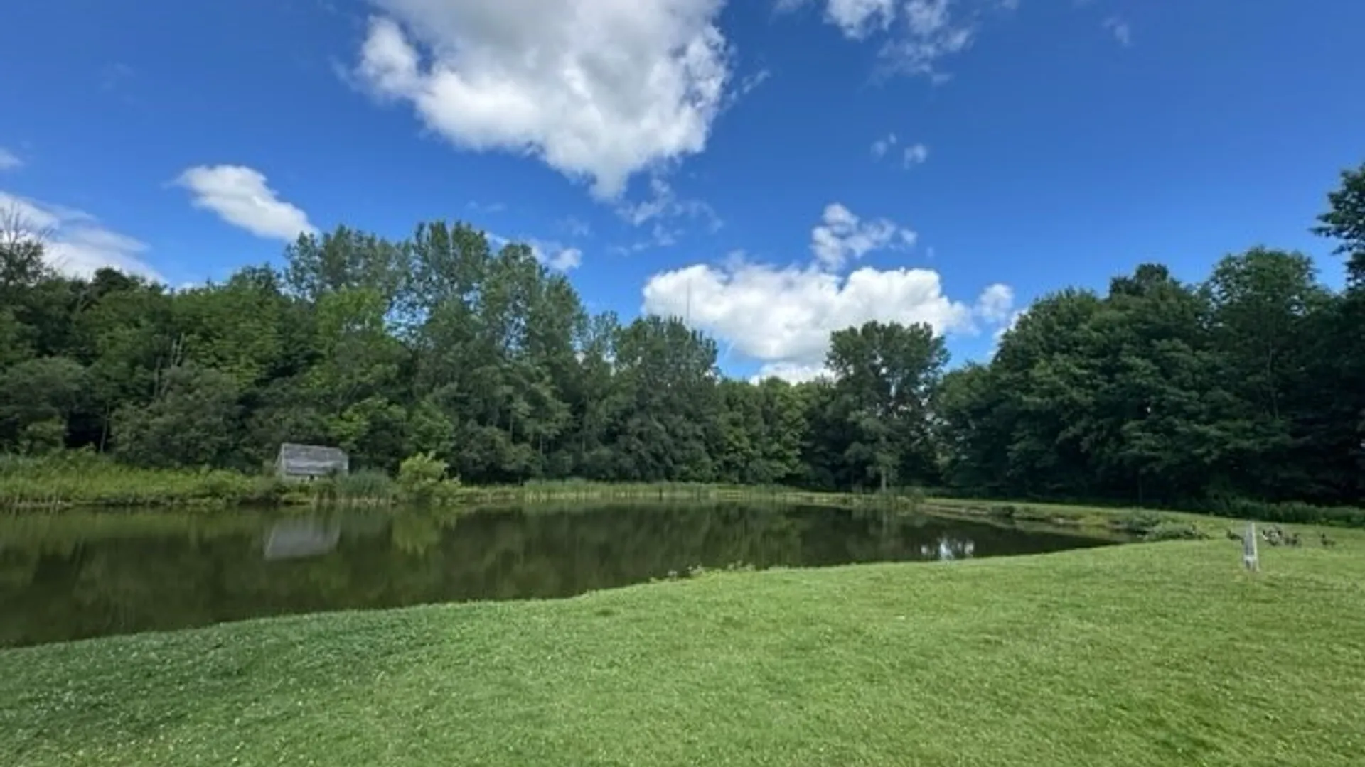 Property at 8482 State Route 12 Road, Harrisburg, NY 13367 10