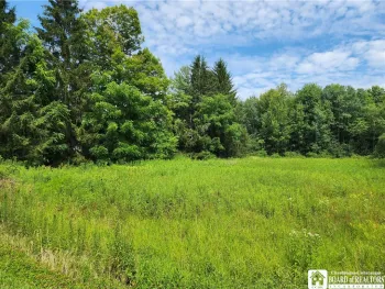 Property at 0 School Street, Mina, NY 14736