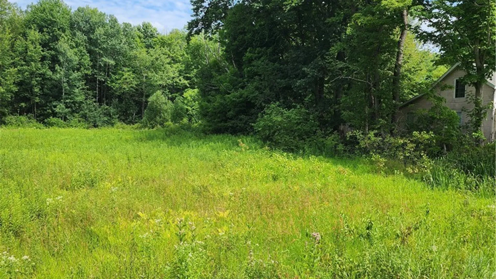 Property at 0 School Street, Mina, NY 14736 3