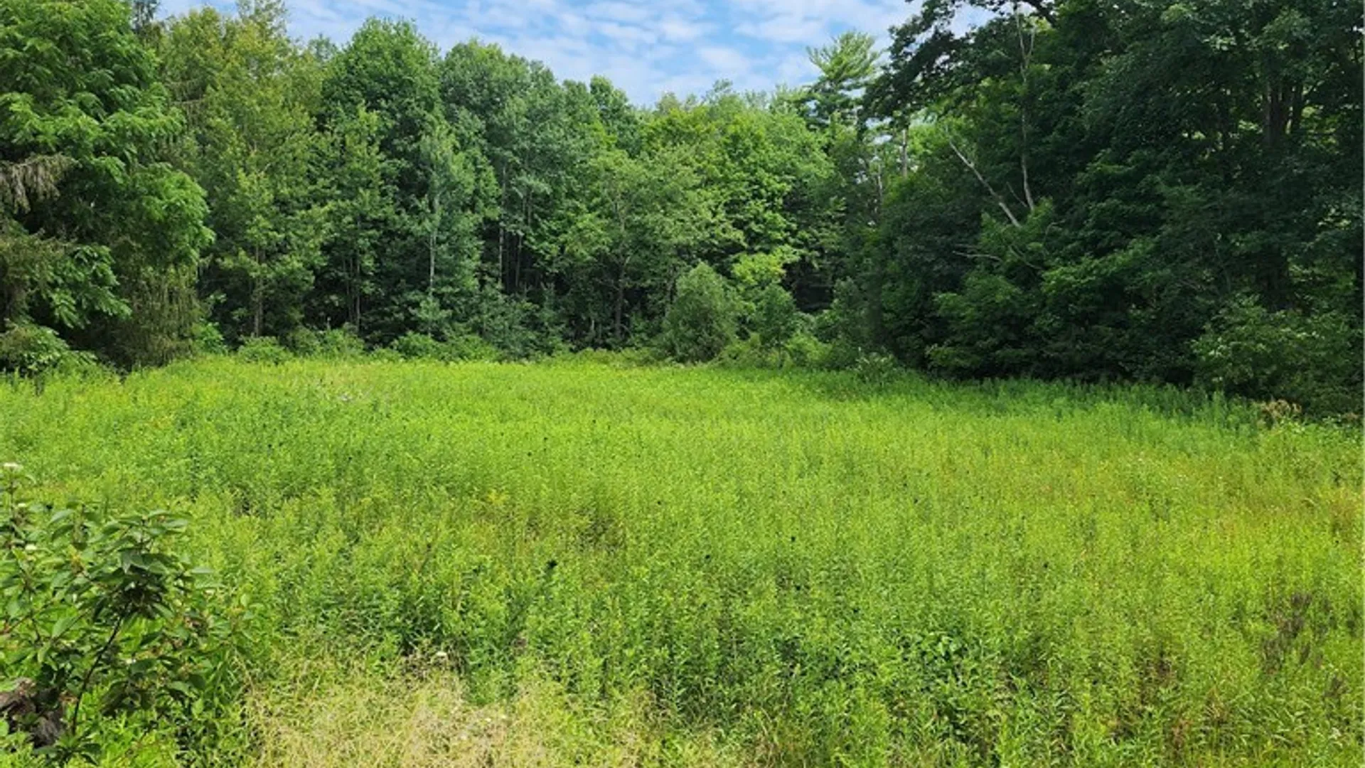Property at 0 School Street, Mina, NY 14736 5