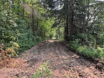 Property at Allen Road, Sardinia, NY 14055