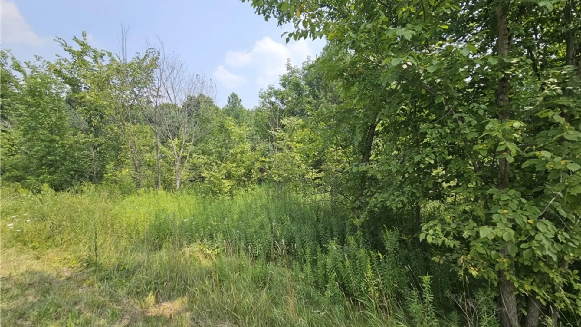 Property at County Route 37, West Monroe, NY 13167 3