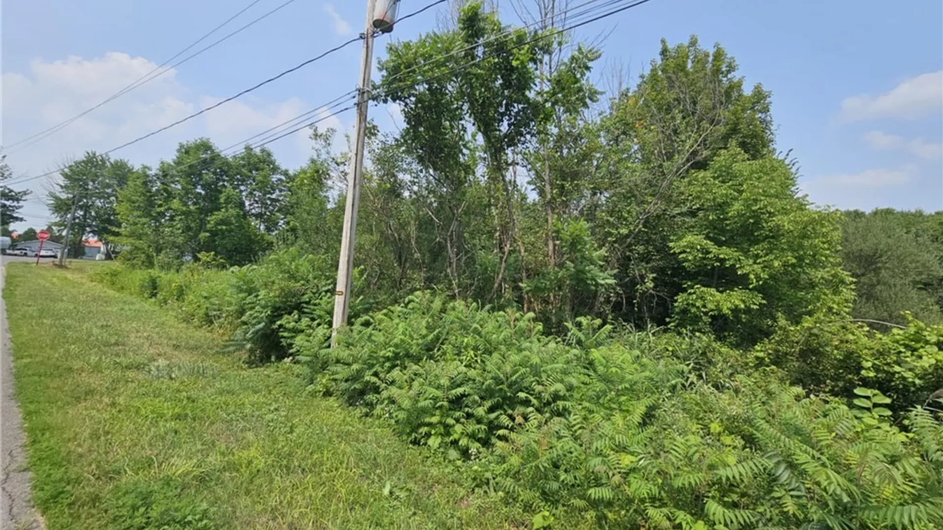 Property at County Route 37, West Monroe, NY 13167 6
