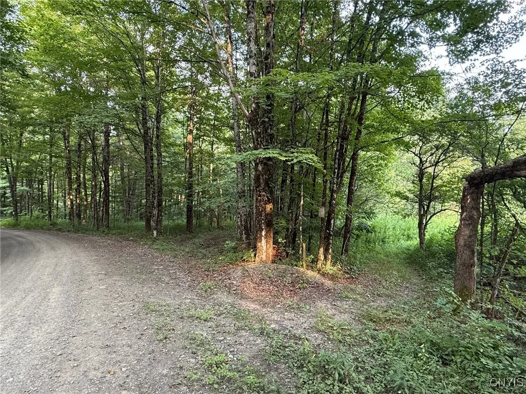 Property at Dutch Hill Road, Cincinnatus, NY 13040