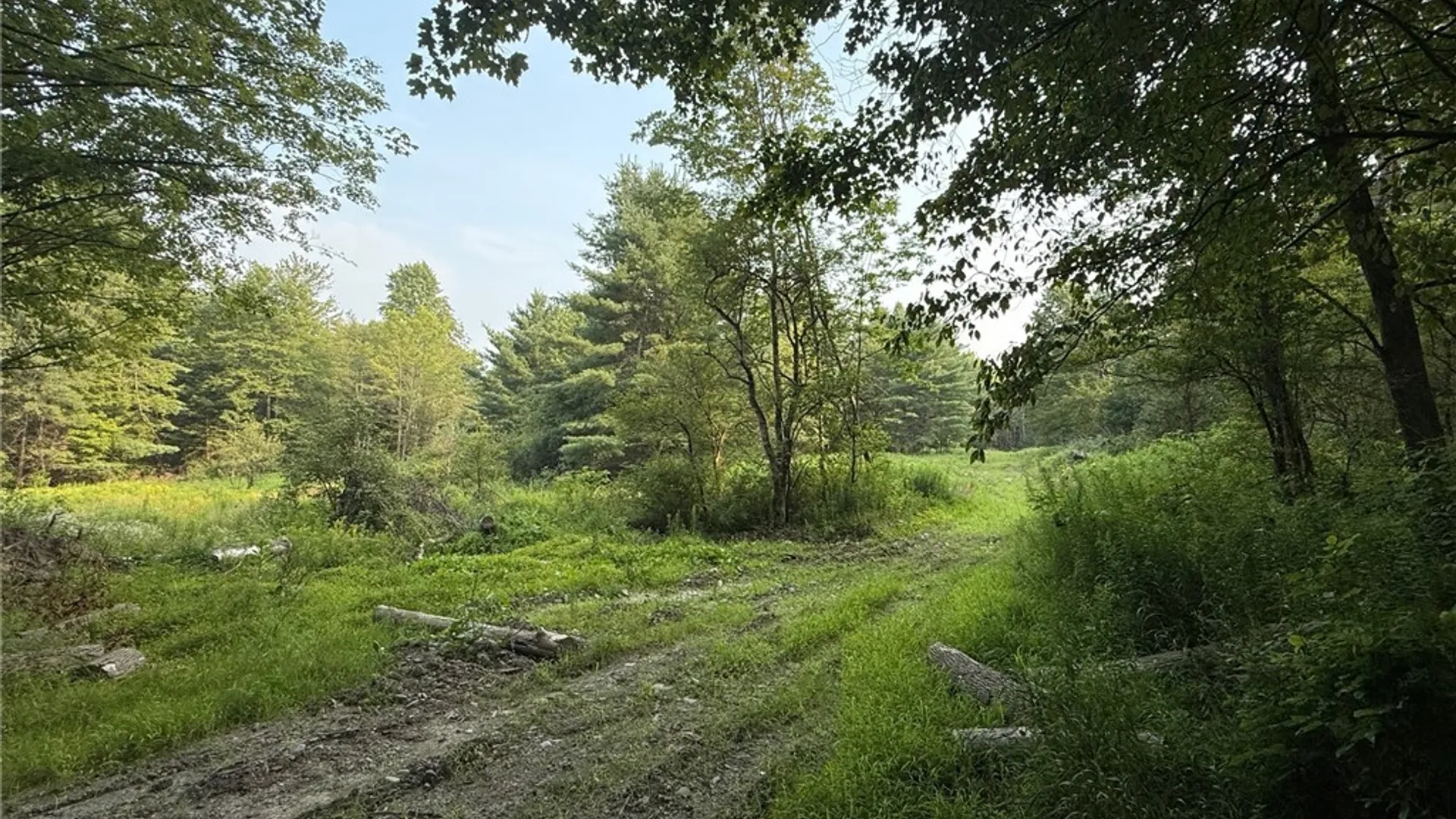 Property at Dutch Hill Road, Cincinnatus, NY 13040 9