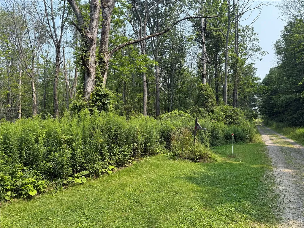Property at 19 Deer Pond, Orangeville, NY 14569