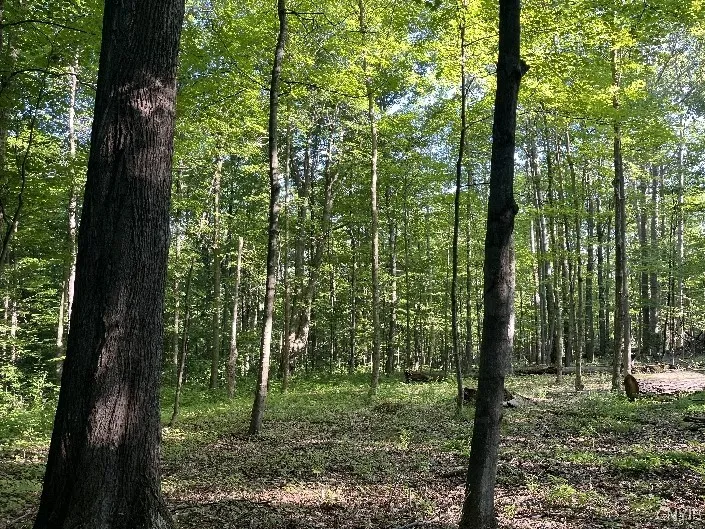 Property at Conesus Sparta Townline Road, Sparta, NY 14437