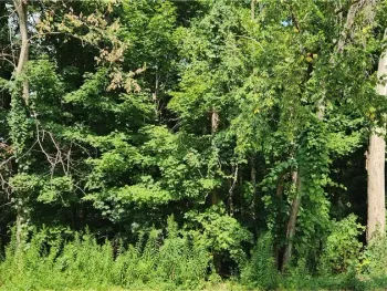 Property at V/L Boston State Road, Boston, NY 14025