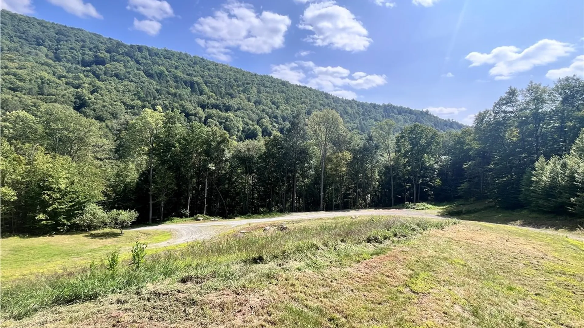 Property at 201 County Road 134, Fremont, NY 12760 31