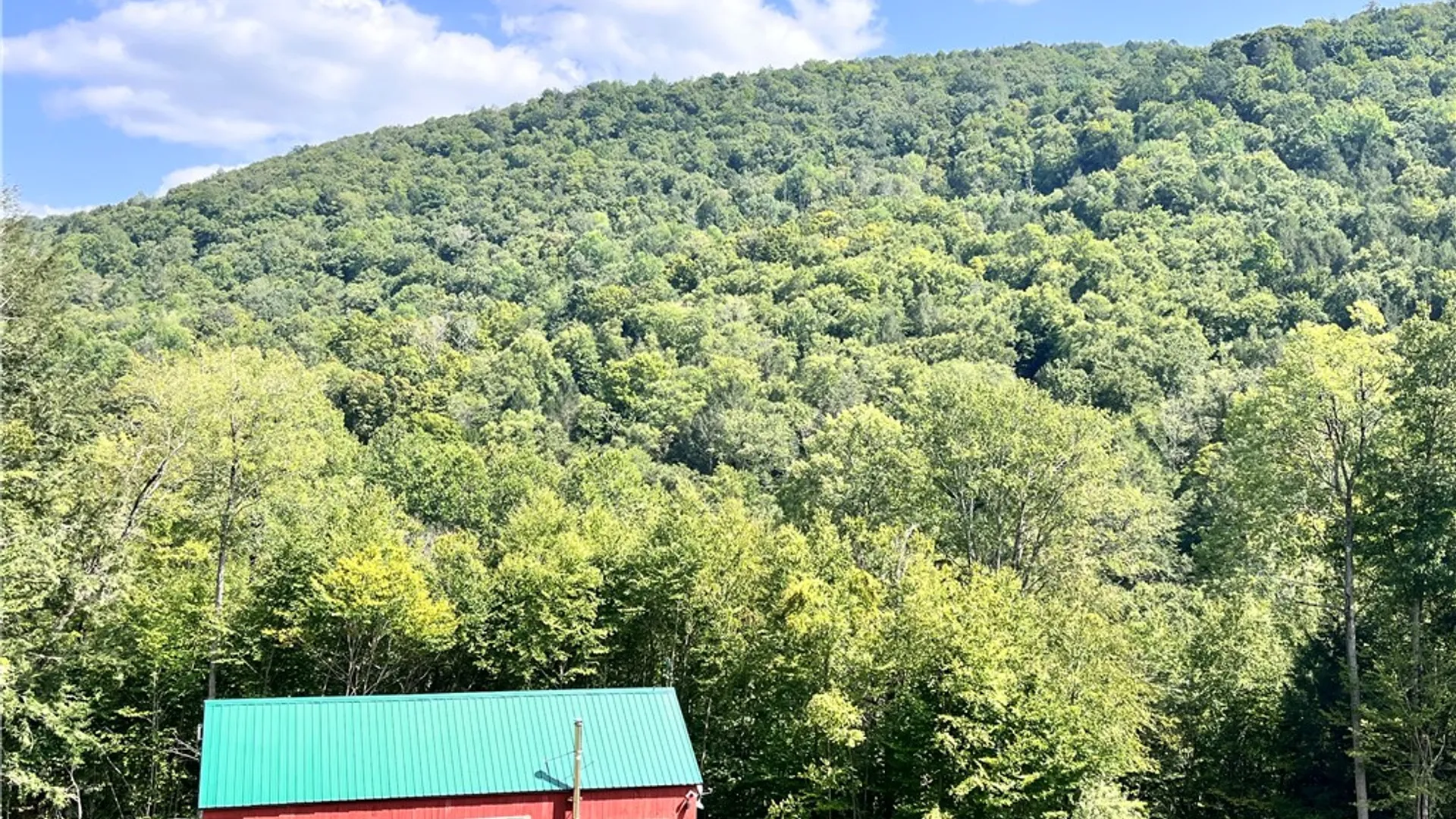 Property at 201 County Road 134, Fremont, NY 12760 32