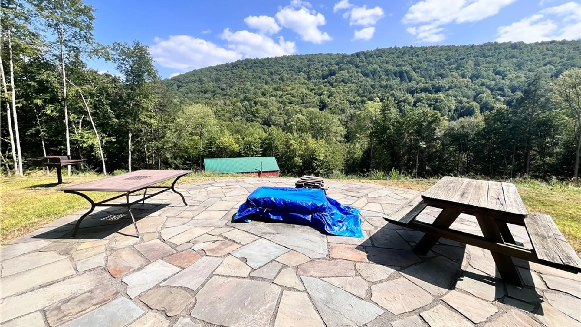 Property at 201 County Road 134, Fremont, NY 12760 7