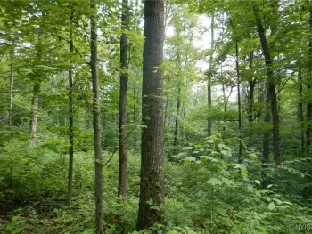Property at 0 Starks Road, Newfield, NY 14867