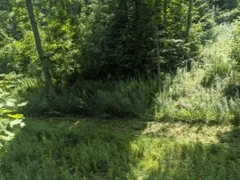 Property at VL Bowers Road, Stockton, NY 14718